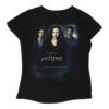 Vintage Twilight: Eclipse Unbranded T-Shirt - Medium Black Cotton -Vintage Vibes Georgie Carmen 02.03.23219